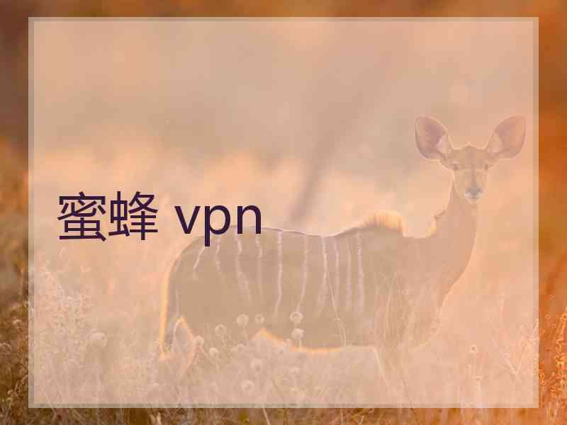 蜜蜂 vpn