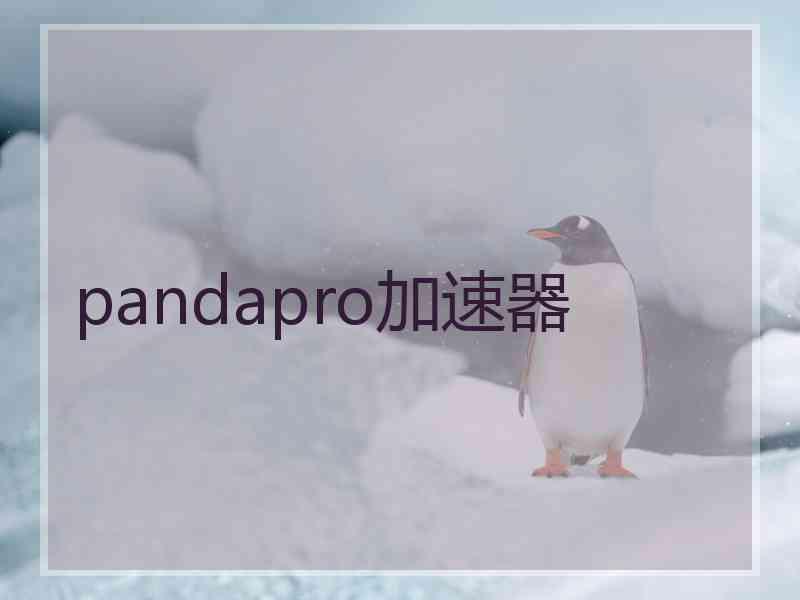 pandapro加速器