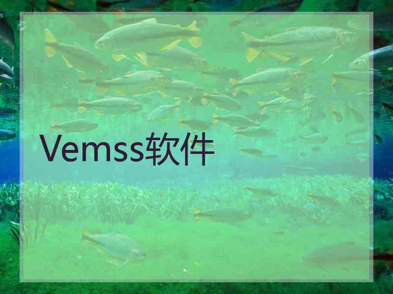 Vemss软件