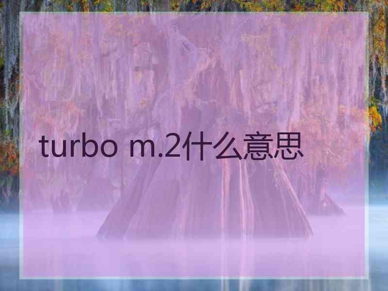 turbo m.2什么意思