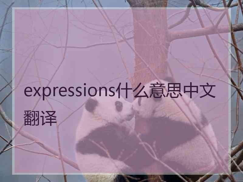 expressions什么意思中文翻译