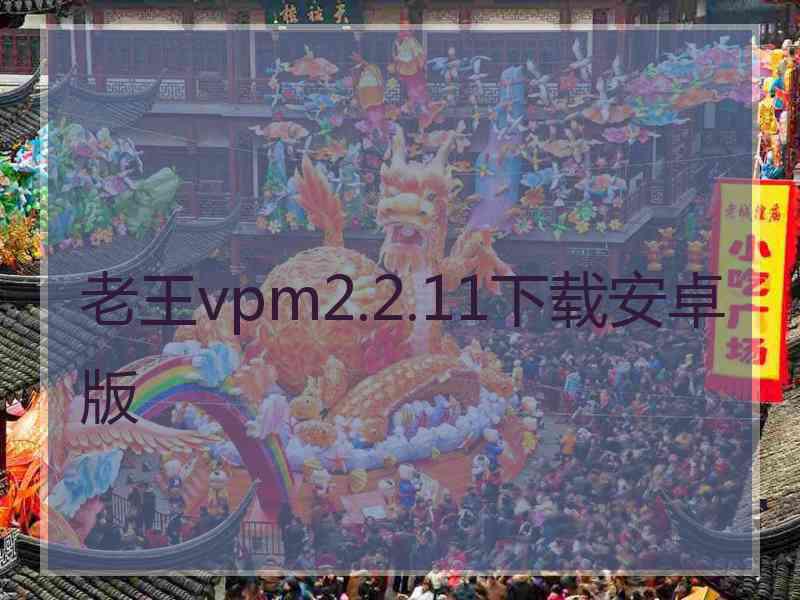 老王vpm2.2.11下载安卓版