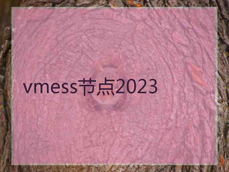 vmess节点2023