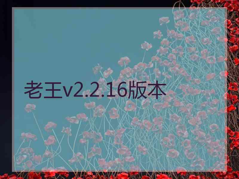 老王v2.2.16版本