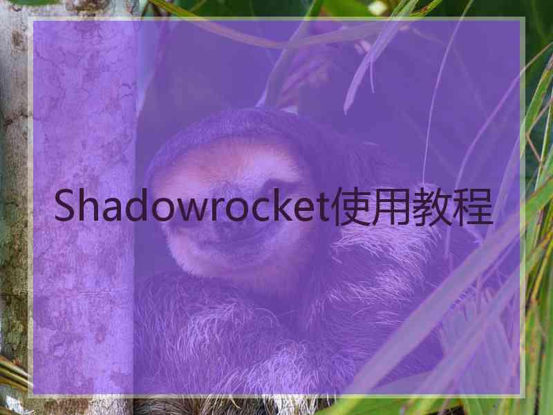 Shadowrocket使用教程