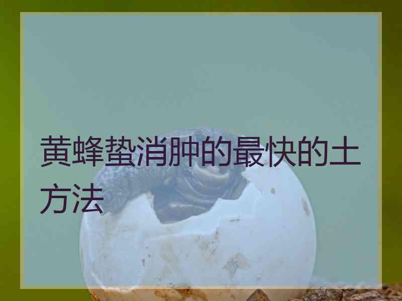 黄蜂蛰消肿的最快的土方法