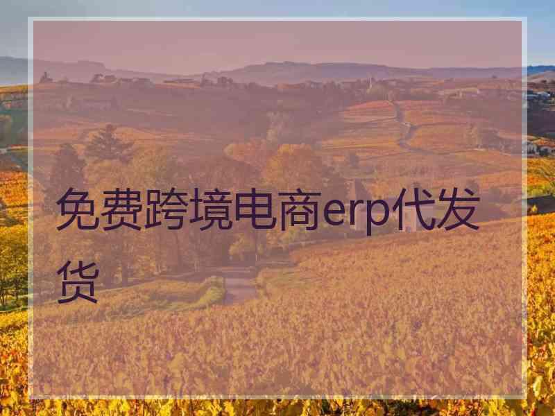 免费跨境电商erp代发货