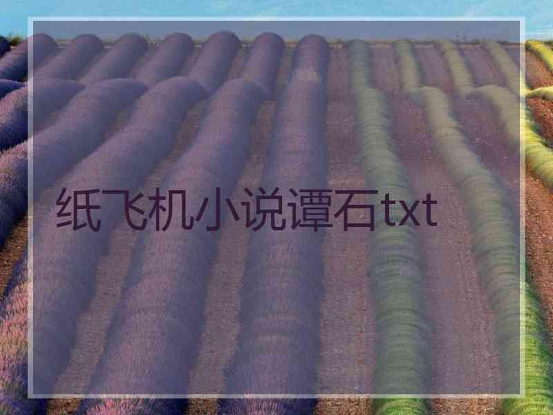 纸飞机小说谭石txt