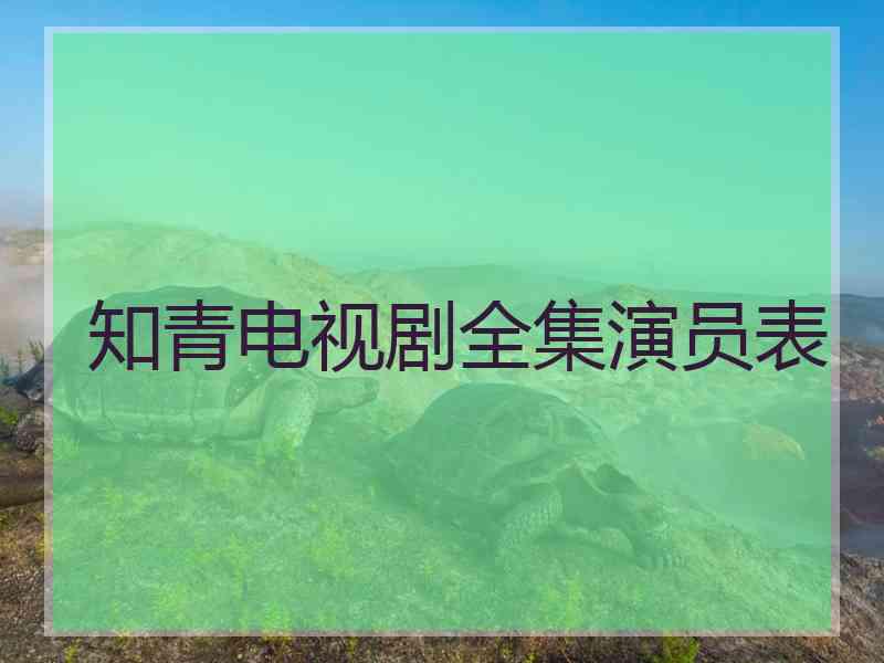 知青电视剧全集演员表