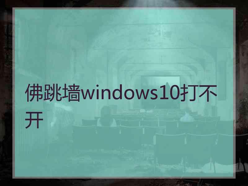 佛跳墙windows10打不开