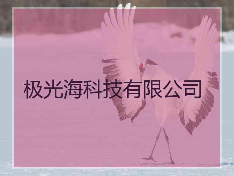 极光海科技有限公司