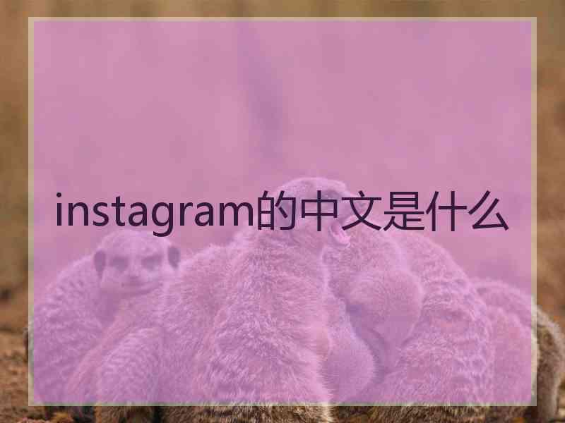 instagram的中文是什么