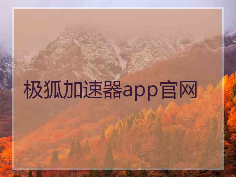 极狐加速器app官网