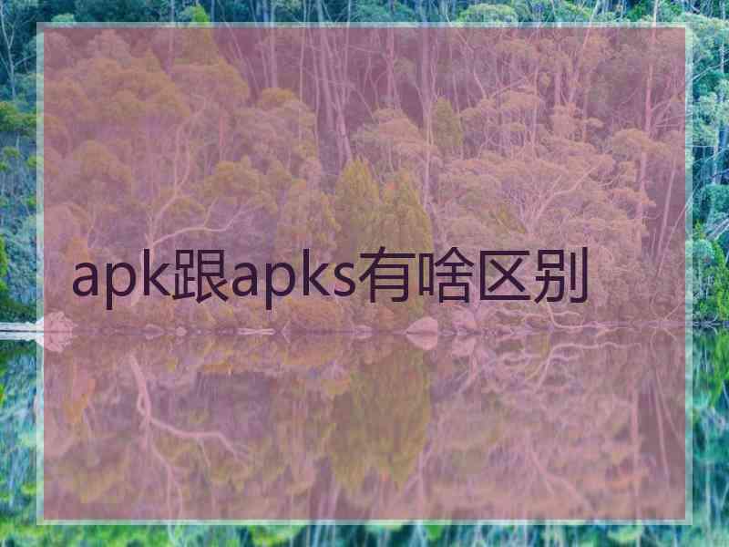 apk跟apks有啥区别