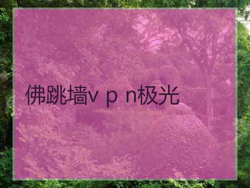 佛跳墙v p n极光