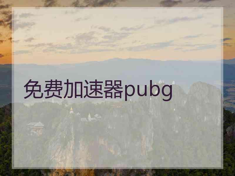 免费加速器pubg