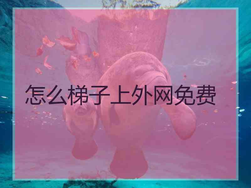 怎么梯子上外网免费