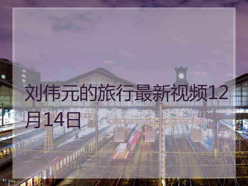 刘伟元的旅行最新视频12月14日