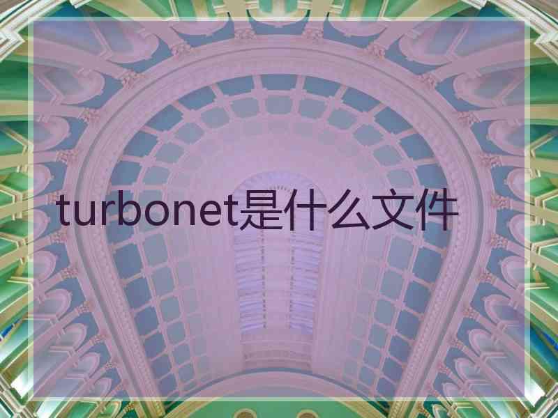 turbonet是什么文件