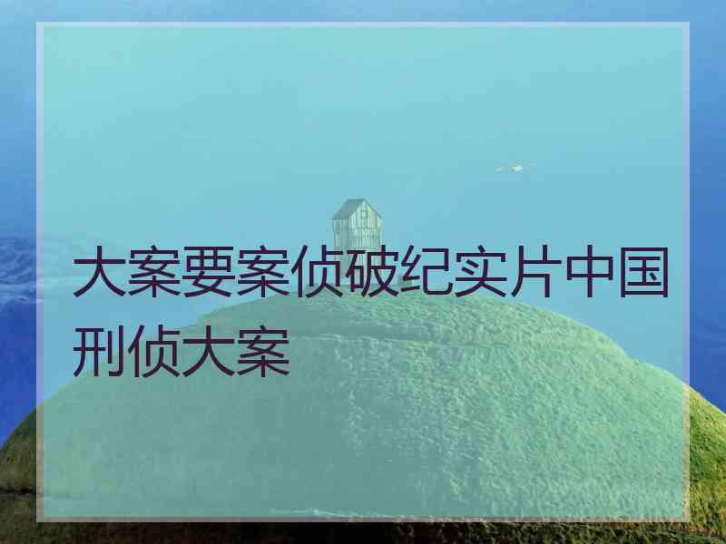 大案要案侦破纪实片中国刑侦大案