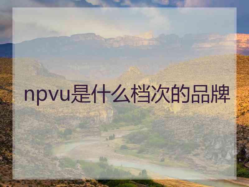 npvu是什么档次的品牌