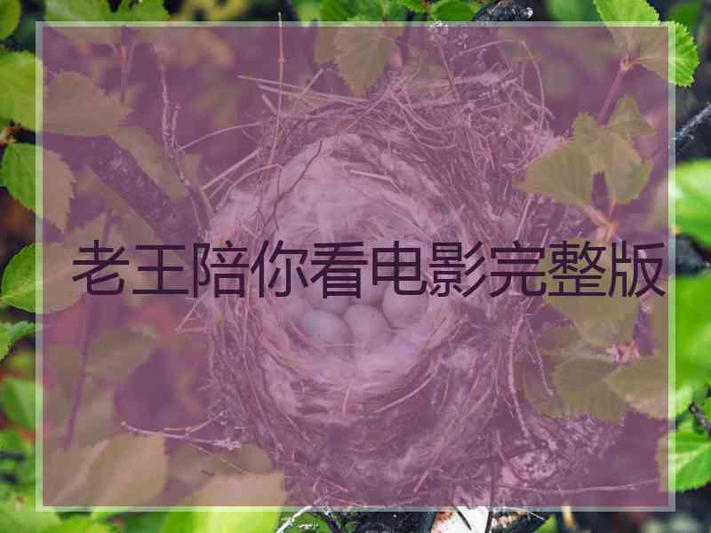 老王陪你看电影完整版