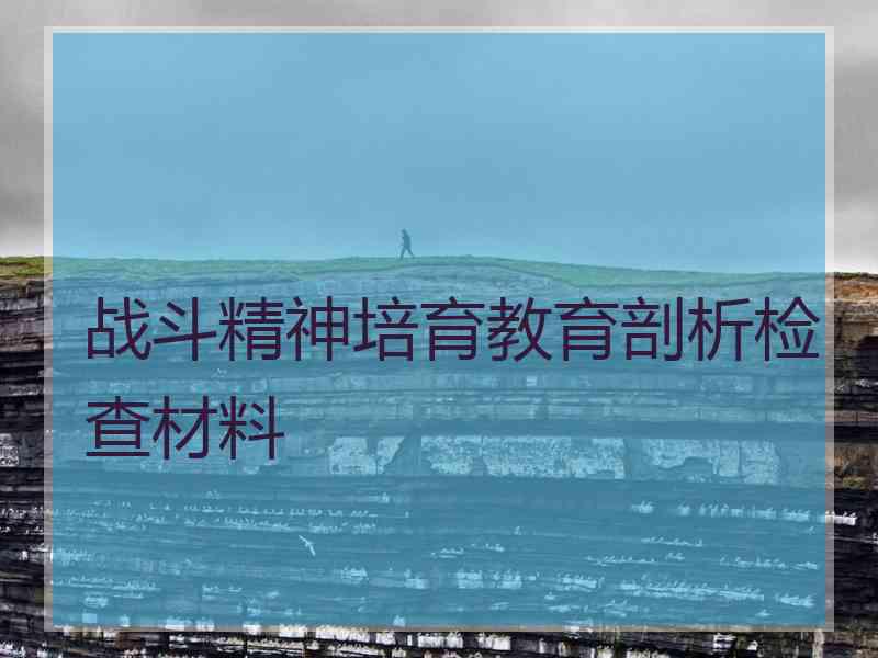 战斗精神培育教育剖析检查材料