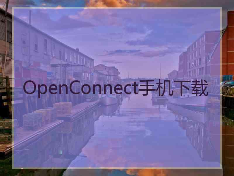 OpenConnect手机下载