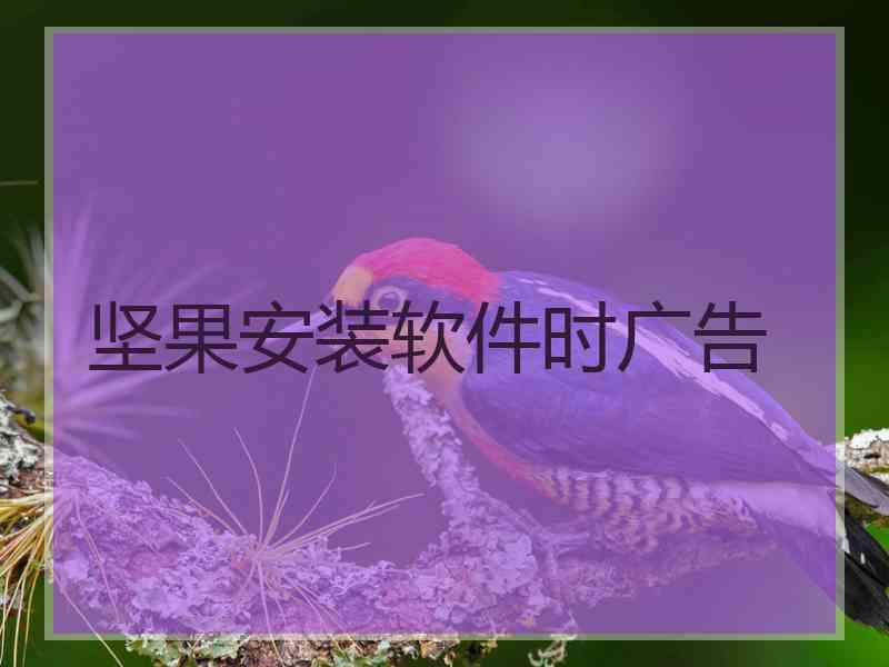 坚果安装软件时广告