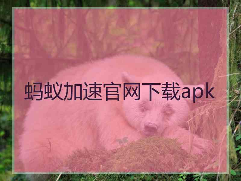 蚂蚁加速官网下载apk