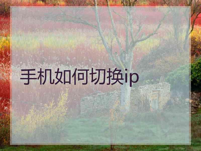 手机如何切换ip