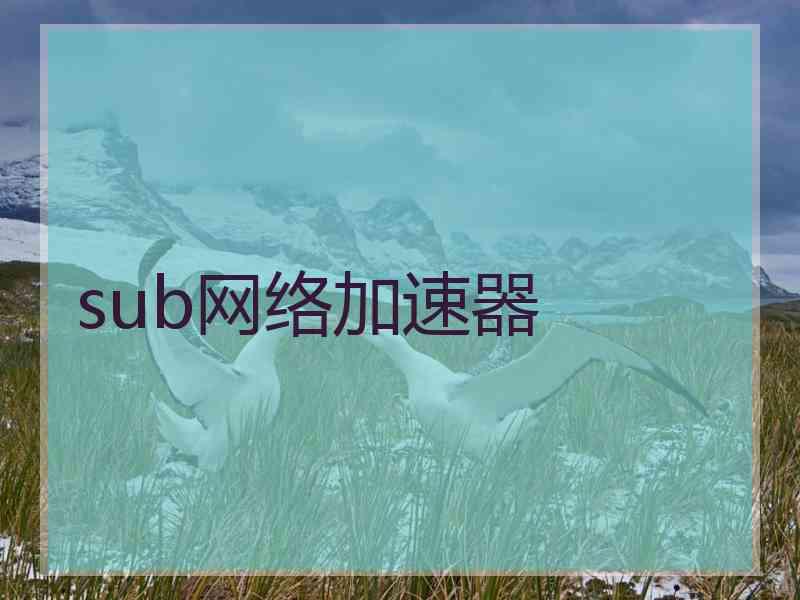 sub网络加速器