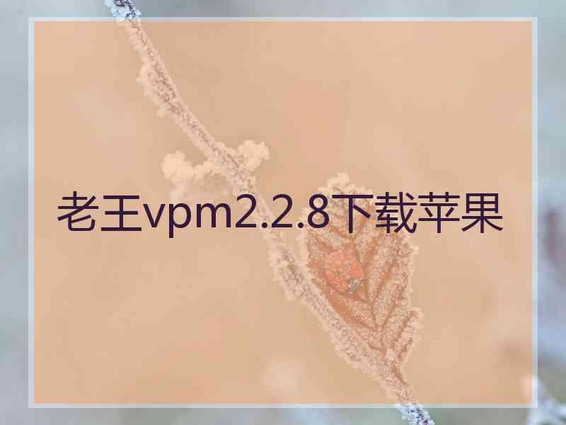 老王vpm2.2.8下载苹果