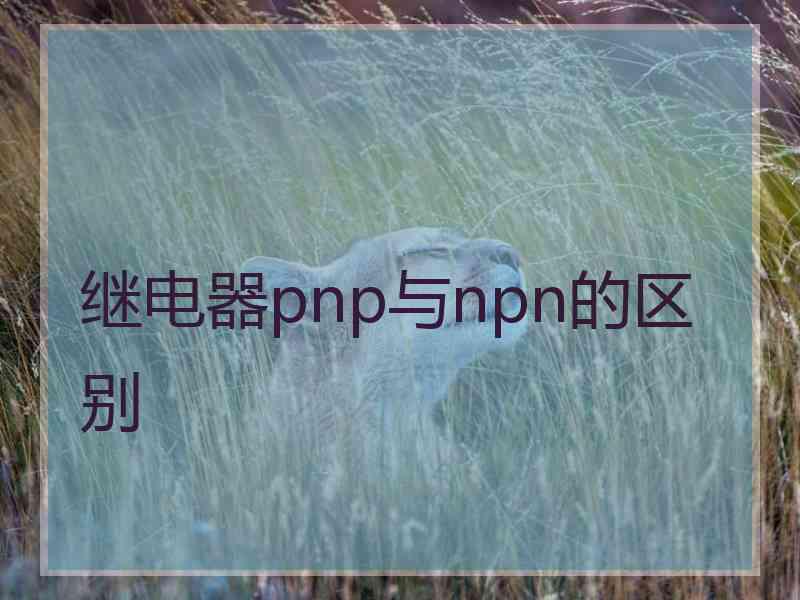 继电器pnp与npn的区别