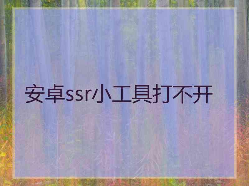 安卓ssr小工具打不开