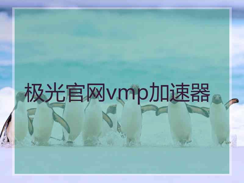 极光官网vmp加速器