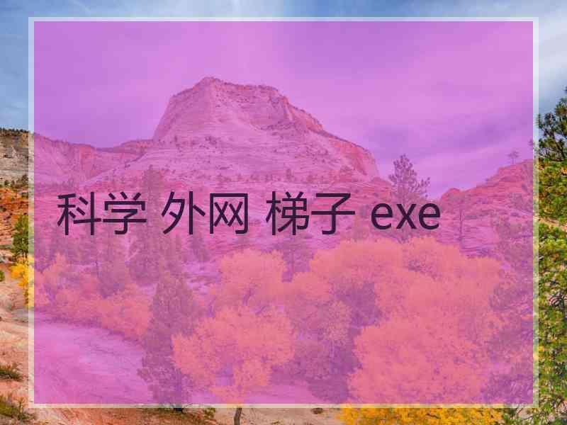 科学 外网 梯子 exe