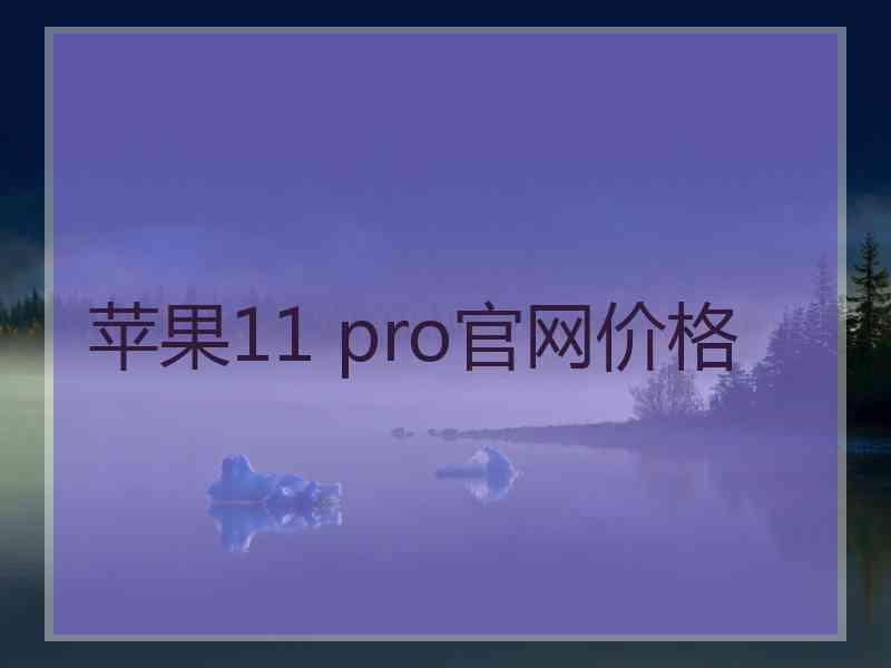 苹果11 pro官网价格