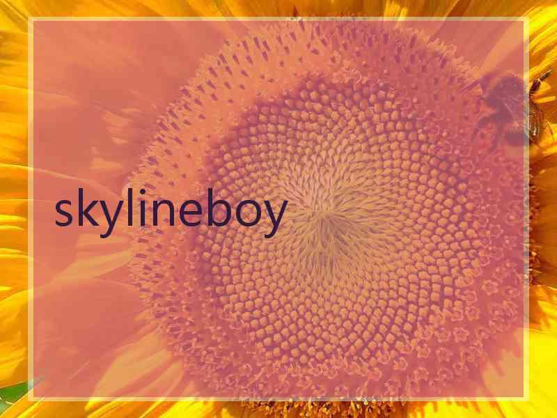 skylineboy