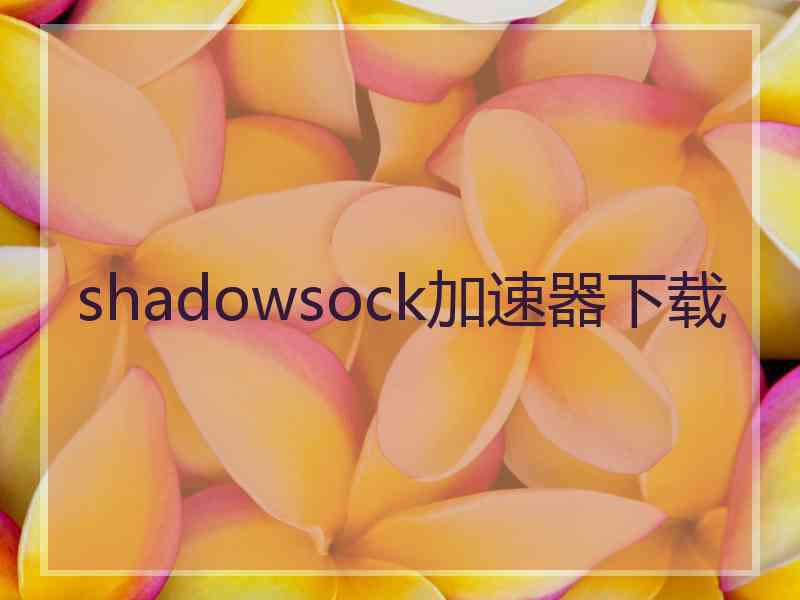 shadowsock加速器下载