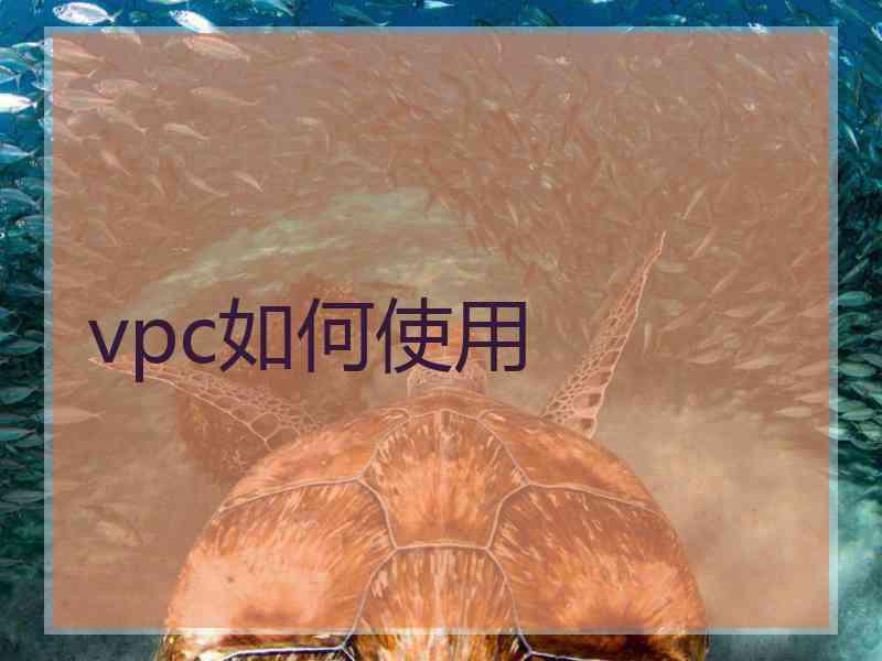 vpc如何使用