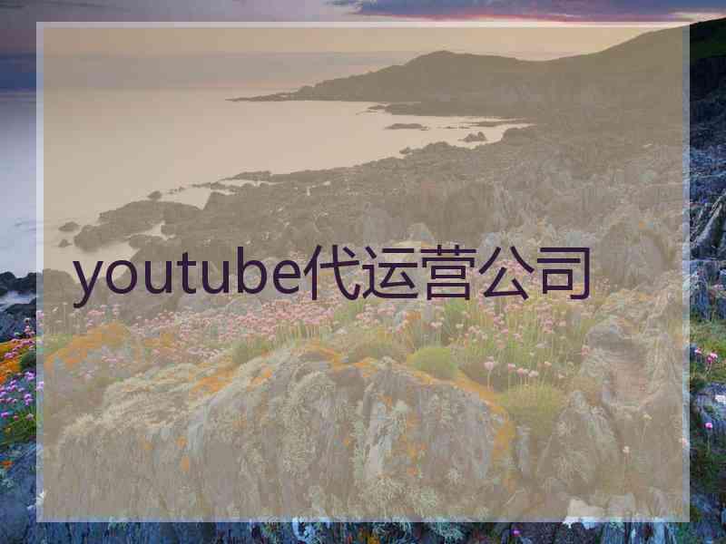 youtube代运营公司