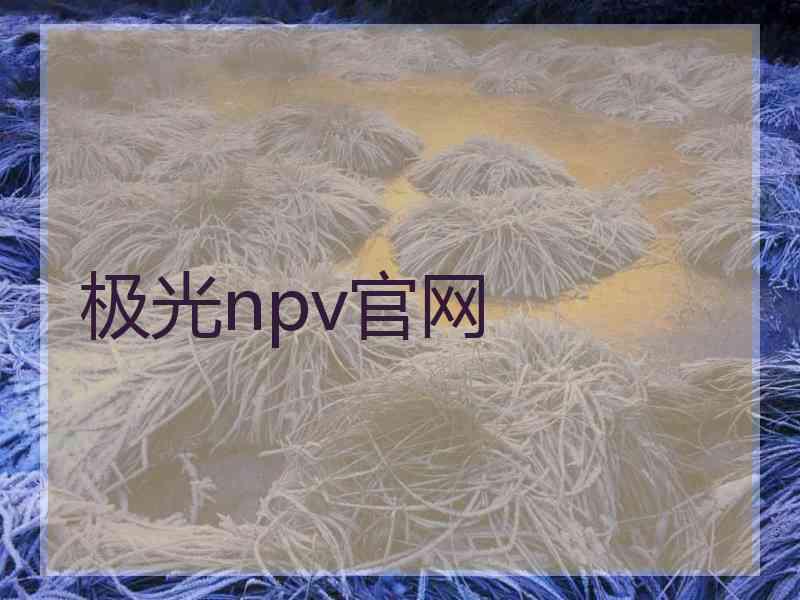 极光npv官网