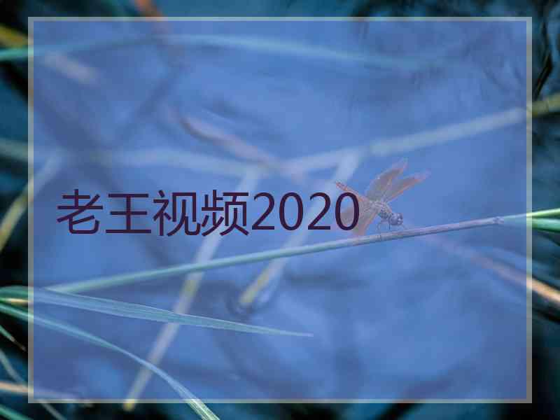 老王视频2020