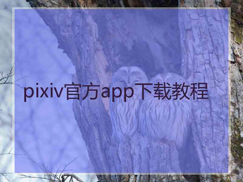 pixiv官方app下载教程