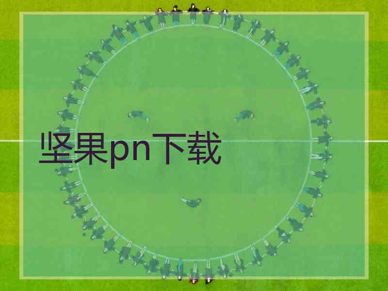 坚果pn下载