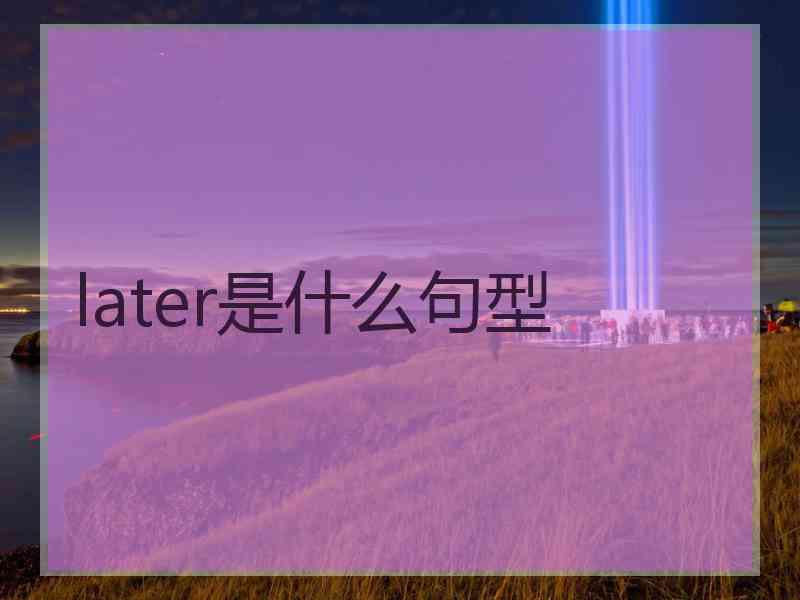 later是什么句型