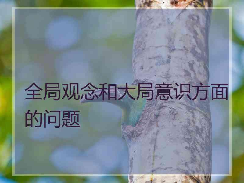 全局观念和大局意识方面的问题