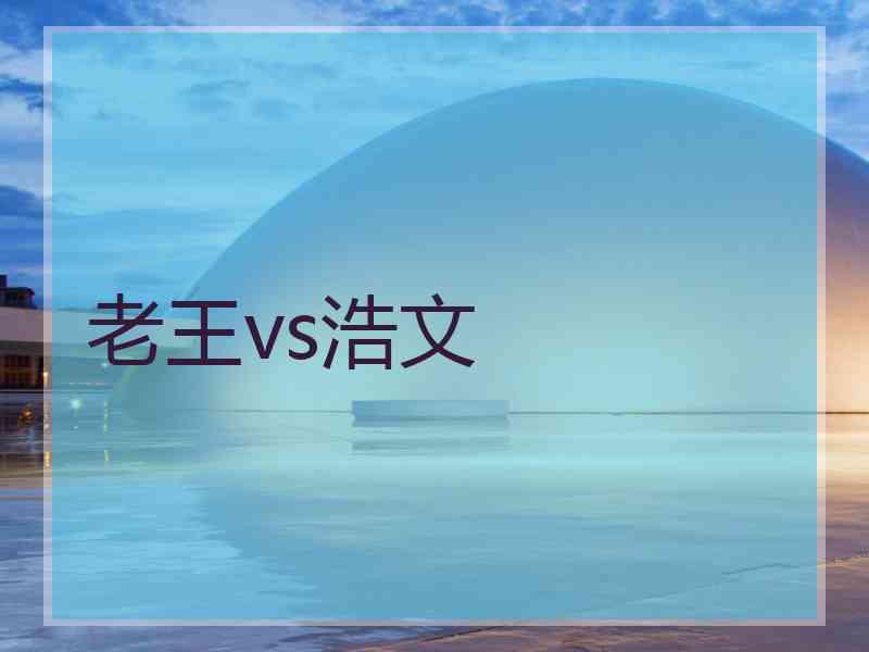 老王vs浩文