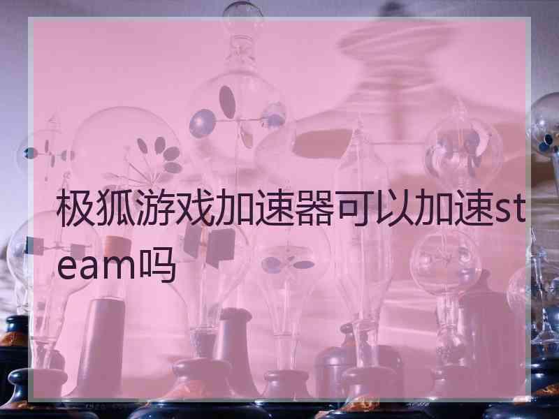 极狐游戏加速器可以加速steam吗